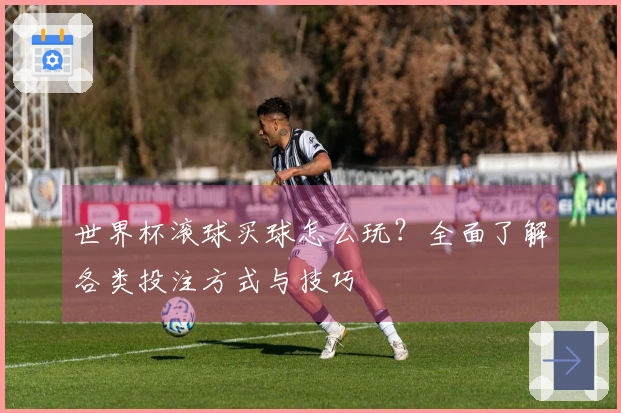 世界杯滚球买球怎么玩？全面了解各类投注方式与技巧