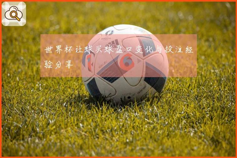 世界杯让球买球盘口变化与投注经验分享