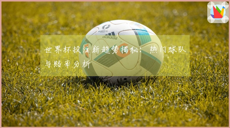 世界杯投注新趋势揭秘：热门球队与赔率分析
