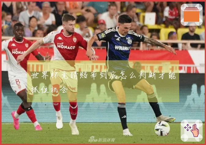 世界杯竞猜赔率到底怎么判断才能抓住机会