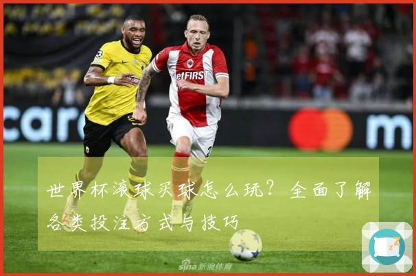 世界杯滚球买球怎么玩？全面了解各类投注方式与技巧