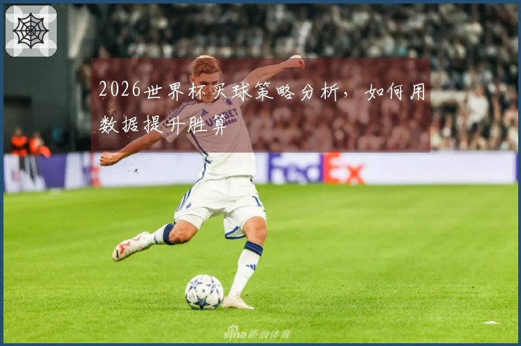 2026世界杯买球策略分析,如何用数据提升胜算