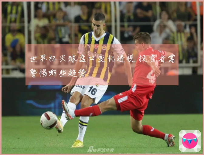 世界杯买球盘口变化透视 投资者需警惕哪些趋势