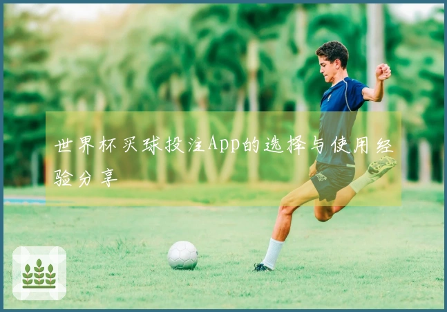世界杯买球投注App的选择与使用经验分享